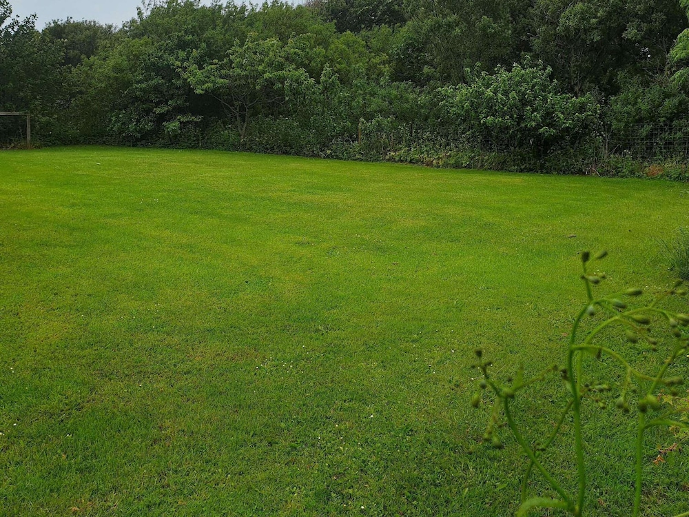 Photo 31