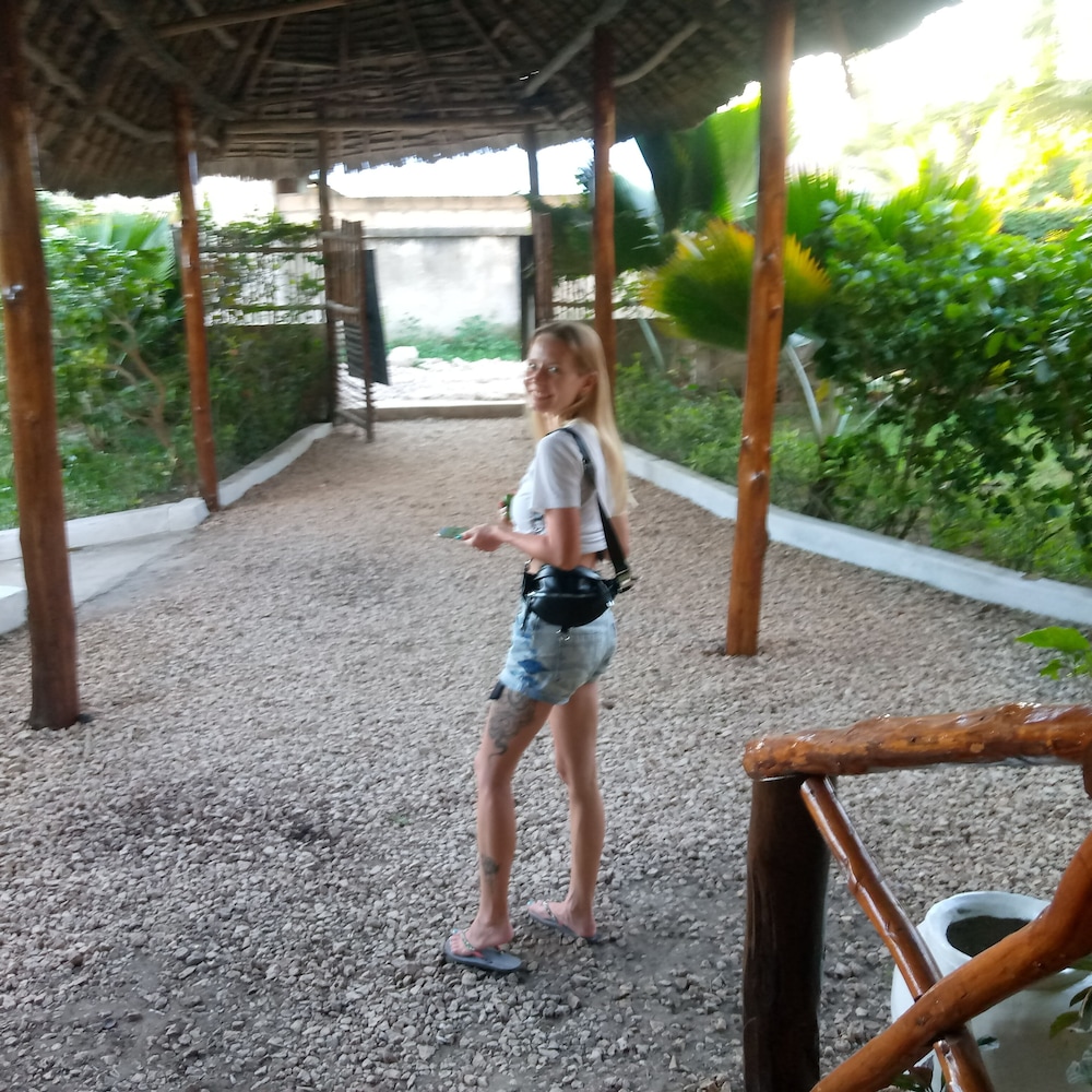 Photo 41