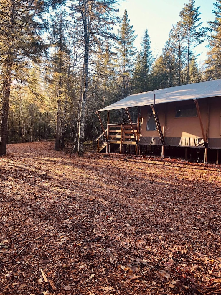 The Woods of Eden Glampground