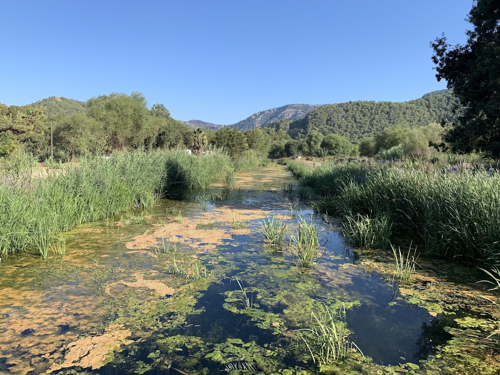 Layla Gocek - Yetişkinlere Özel - Image 117