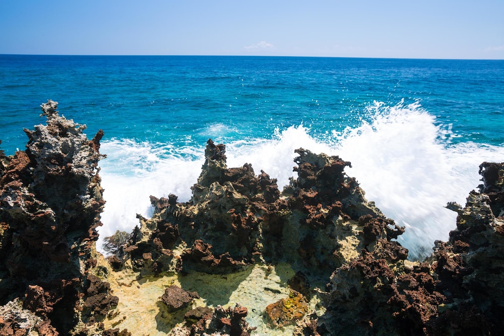 Coral View