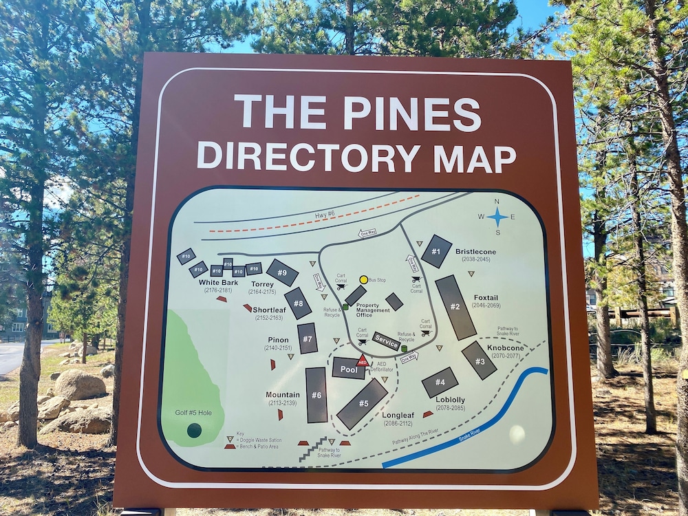 Pines 2045
