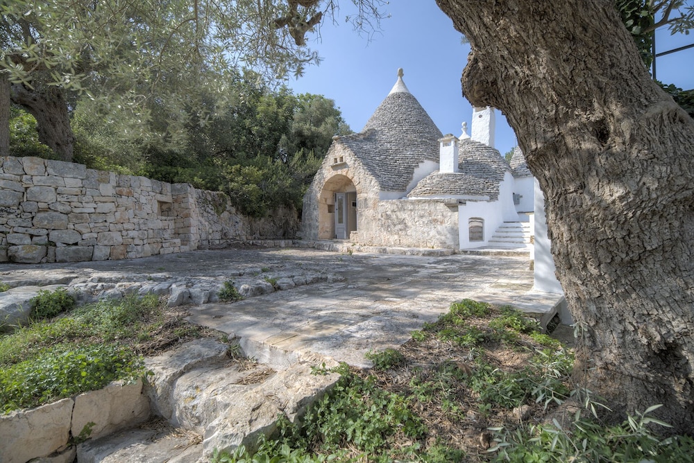 Photo 18