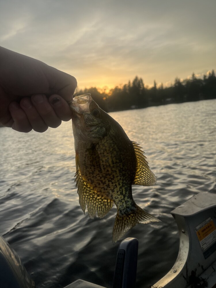 Betula Lake Resort