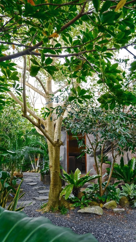 Lush Inn Phuket