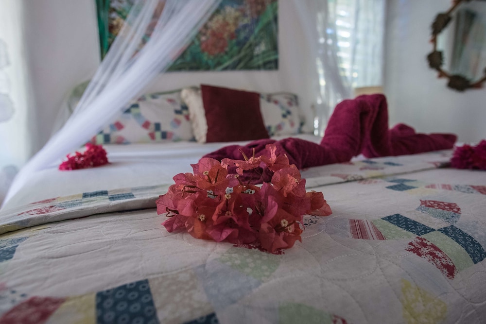 Beach Palm Villa, photo 57