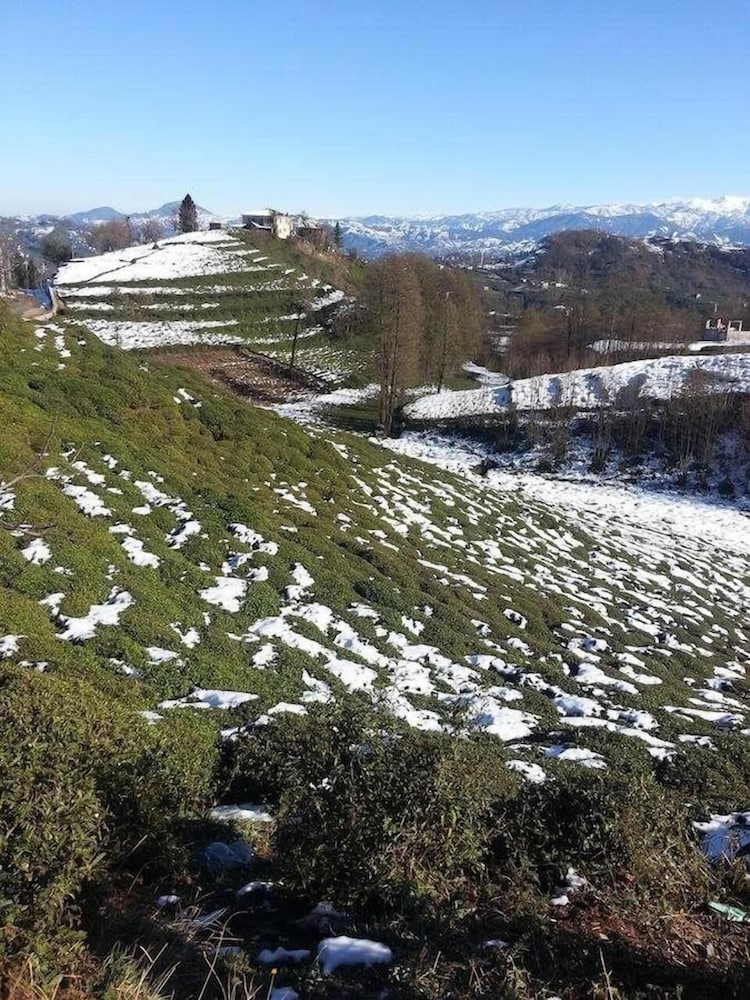 Hasdikoz Abdik Hotel