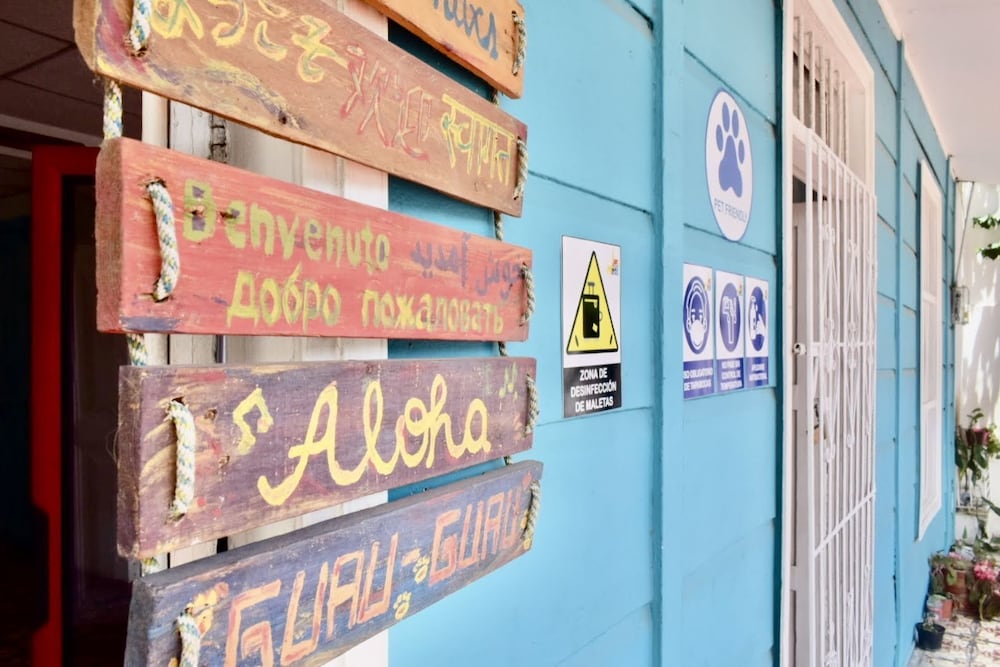 MANGO TREE HOSTEL 4 20