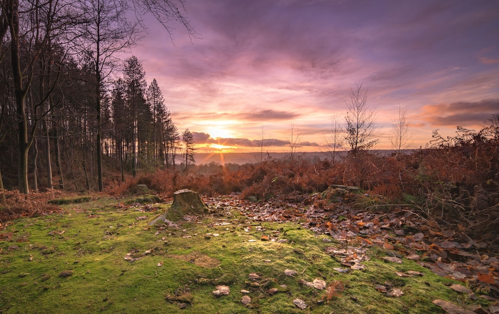 Karah Retreats - St Briavels view 4