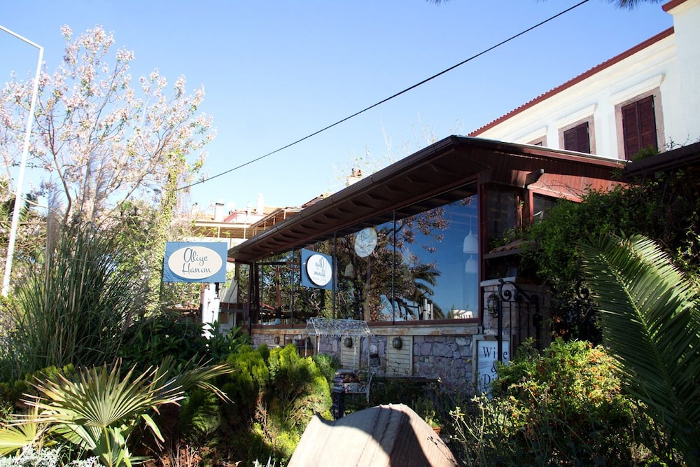 Aliye Hanım - Image 12