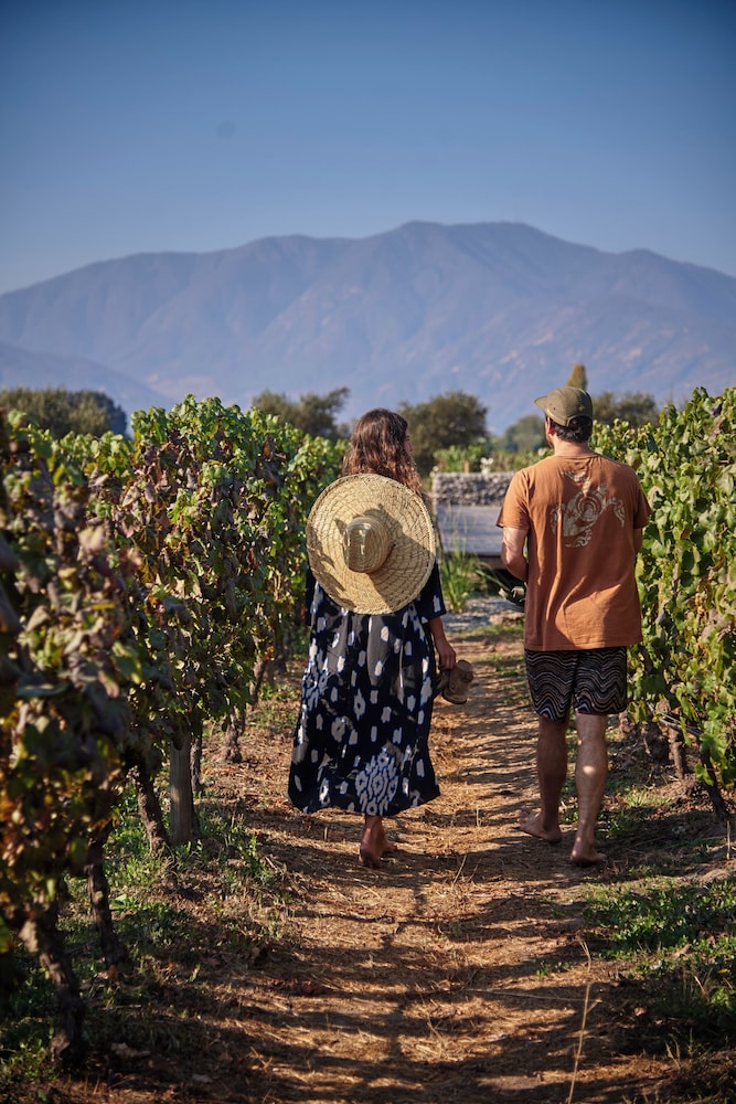 Vibo Wine Lodge
