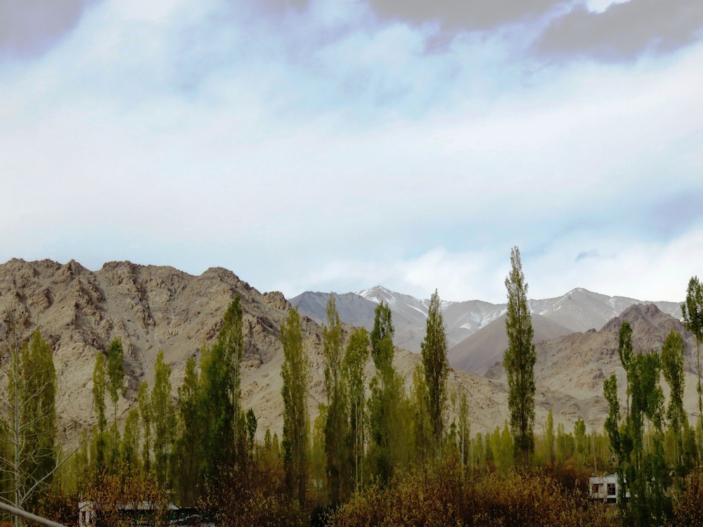 TIH Rahela Guest House & Home Stay