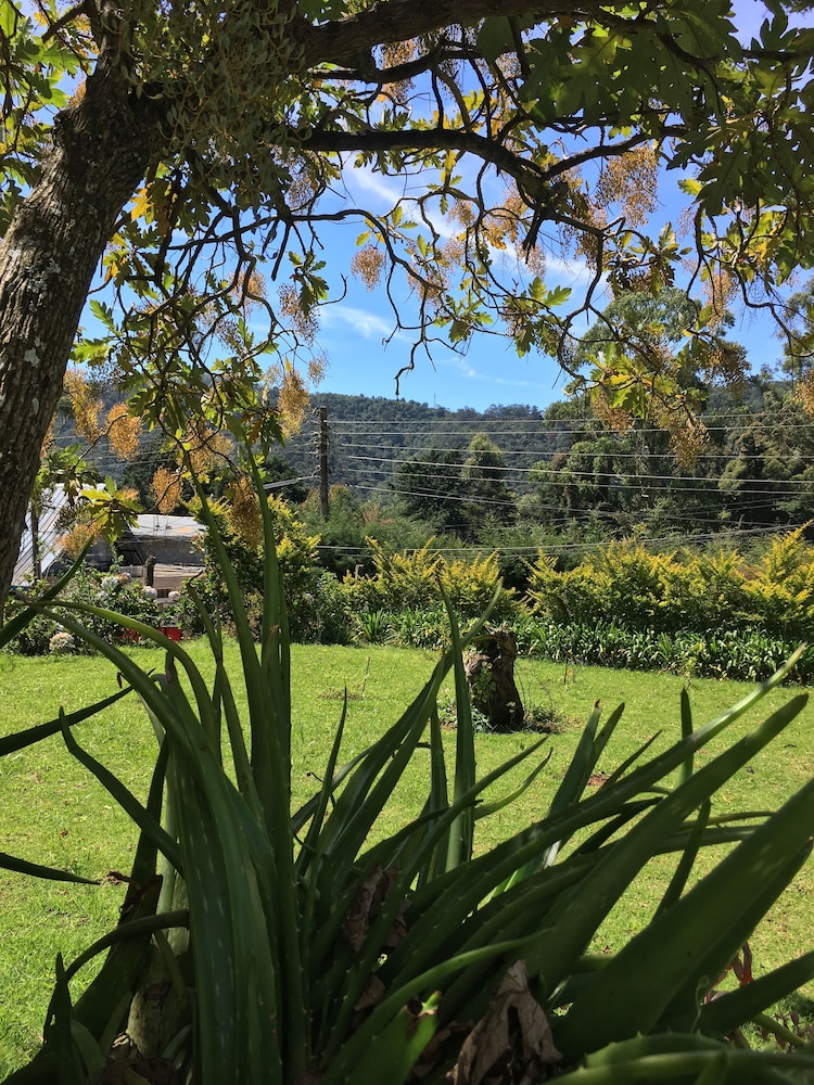 Andrews Hostel