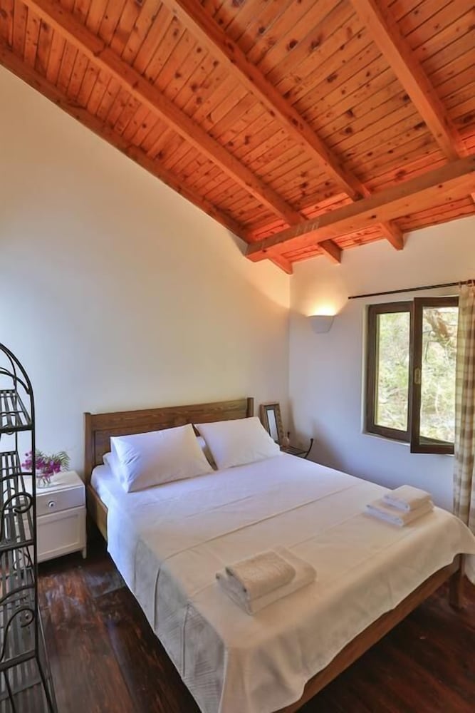 Villa Kaktus