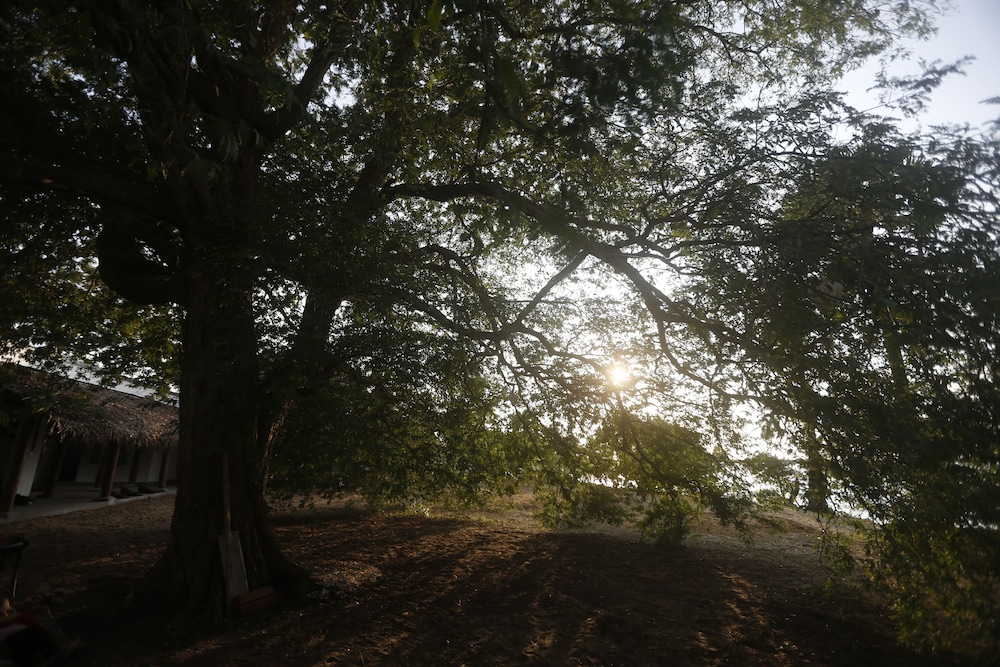 The Villa Kalpitiya