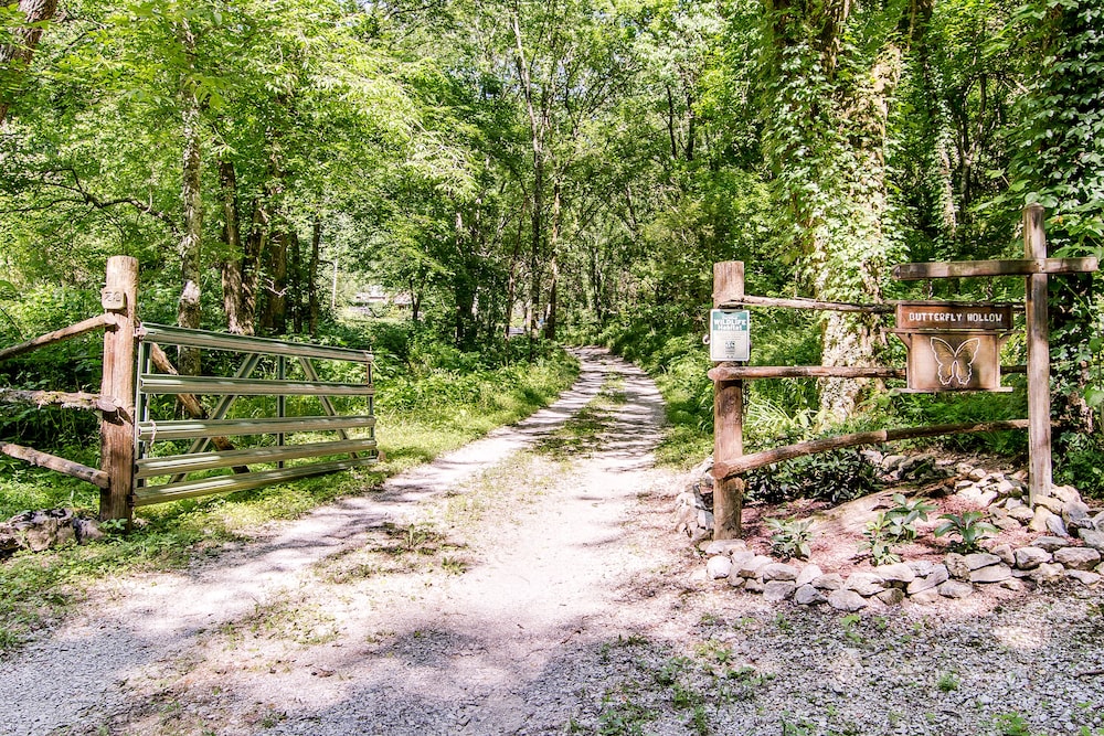 Butterfly Hollow BB - Property Image 8