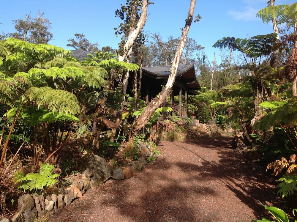 Volcano Rainforest Lodge