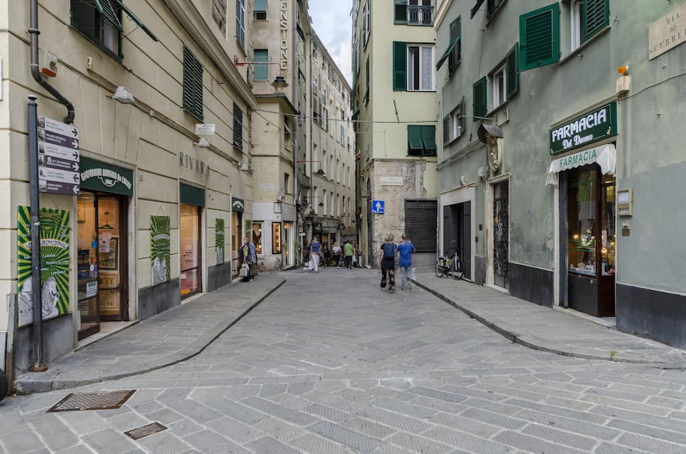 Photo 41