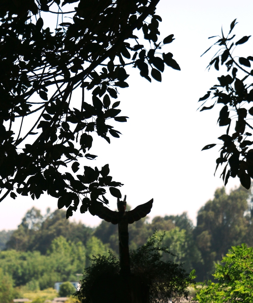 Posada del Parque Lodge