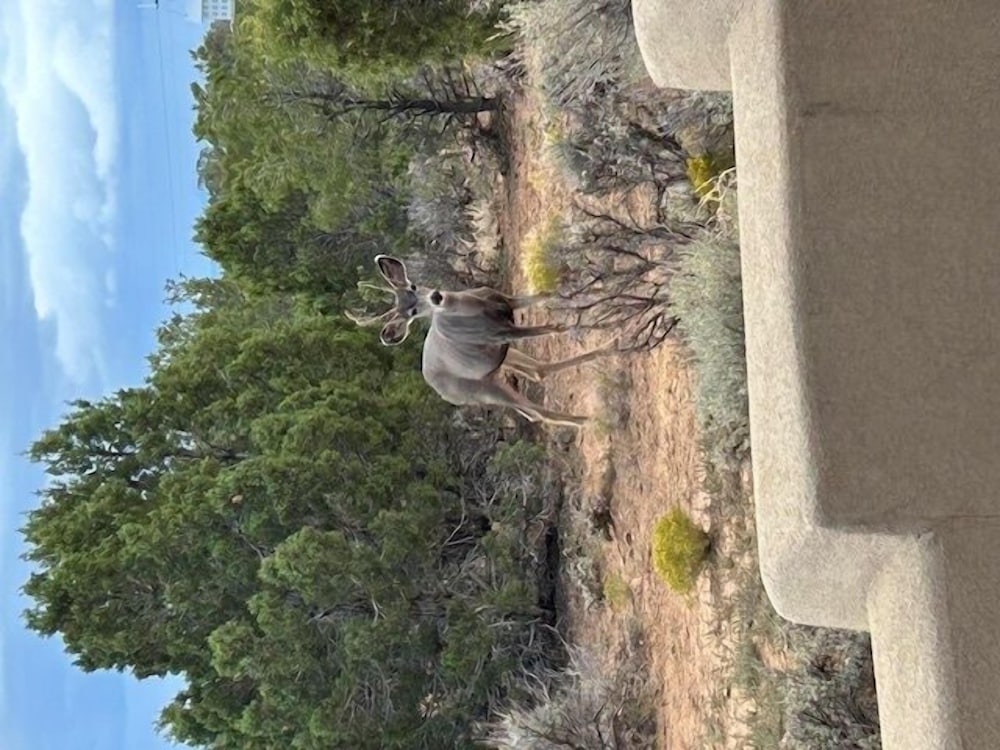 Whispering Deer Retreat 3 Bedroom Home