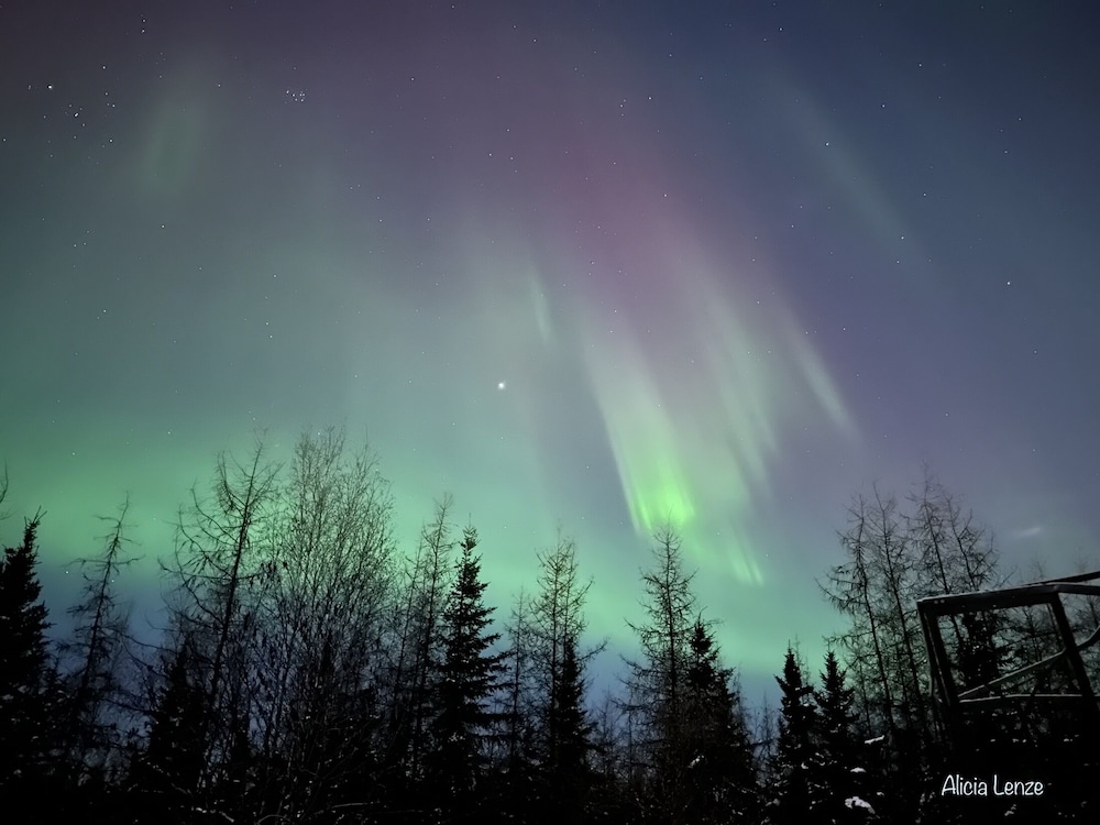 Fairbanks Vacations - Moose Tracks B  B - Property Image 3