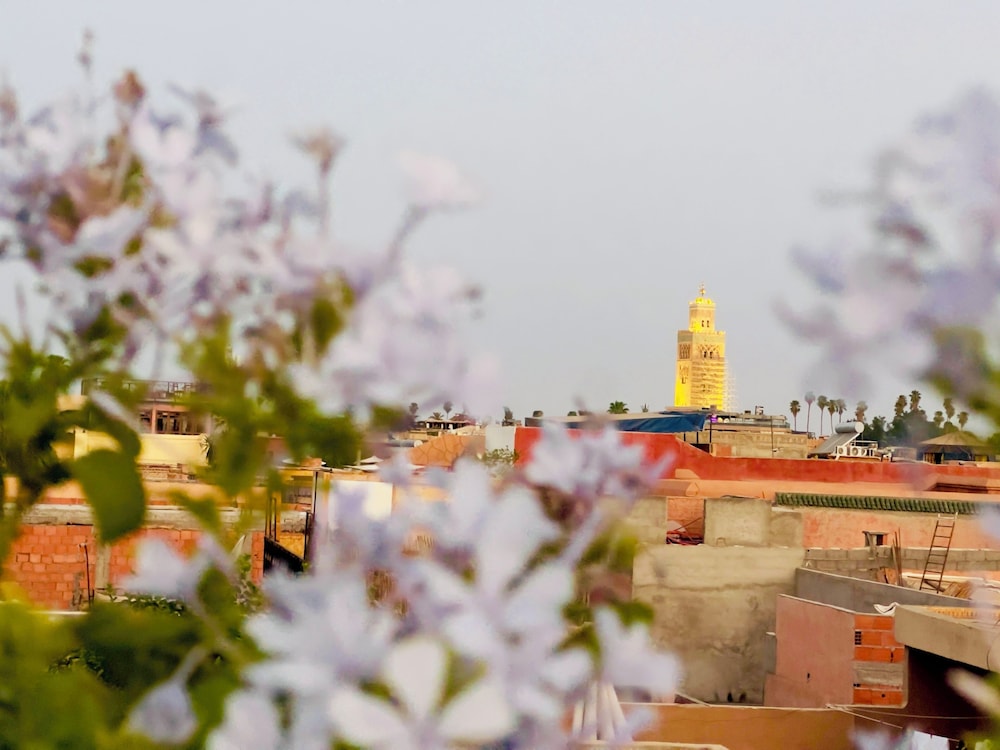 Riad KAYA & SPA