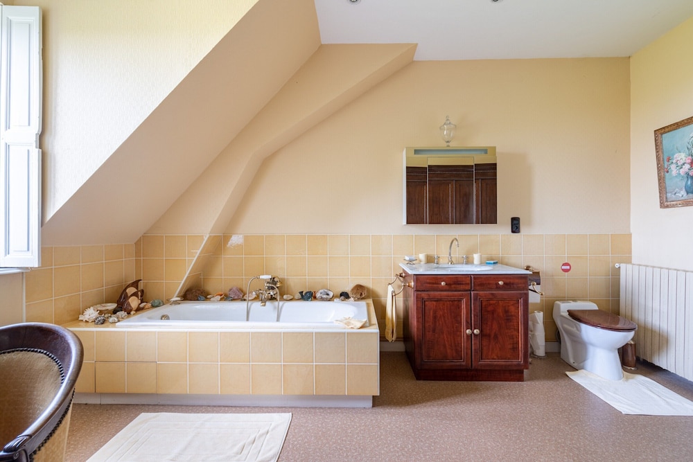Chateau in Sarthe With Heated Pool