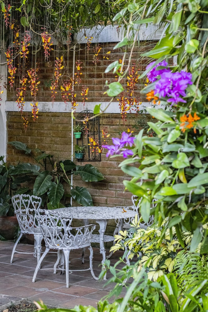 Árbol de Fuego Eco-hotel, a green experience in the city