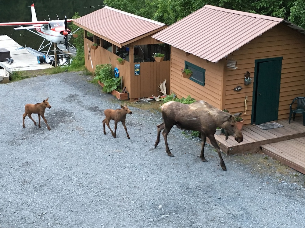Bear Lake Lodgings Bed & Breakfast