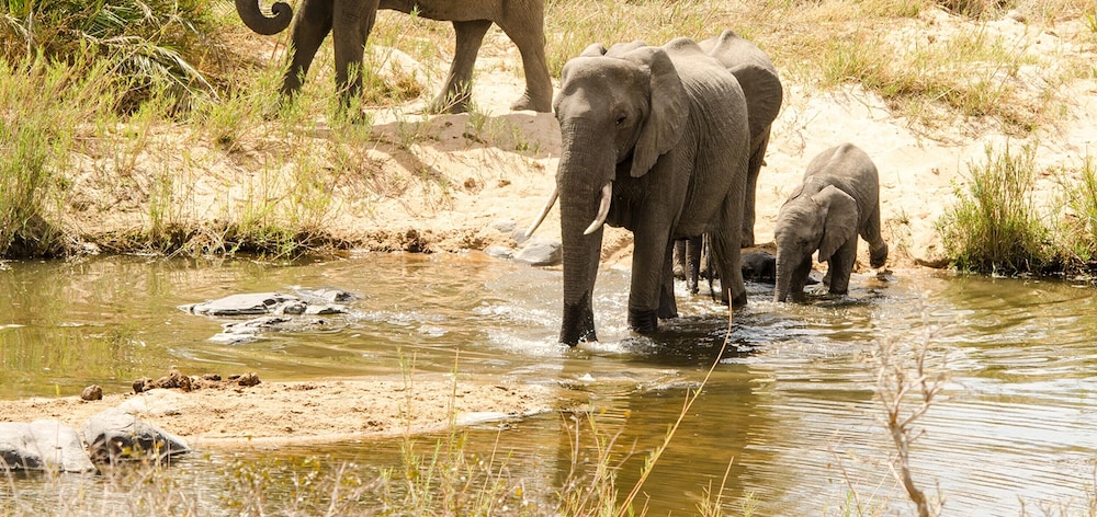 Elandela Private Game Reserve & Luxury Lodge