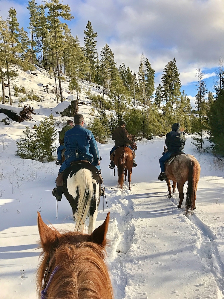 Dream Haven Guest Ranch