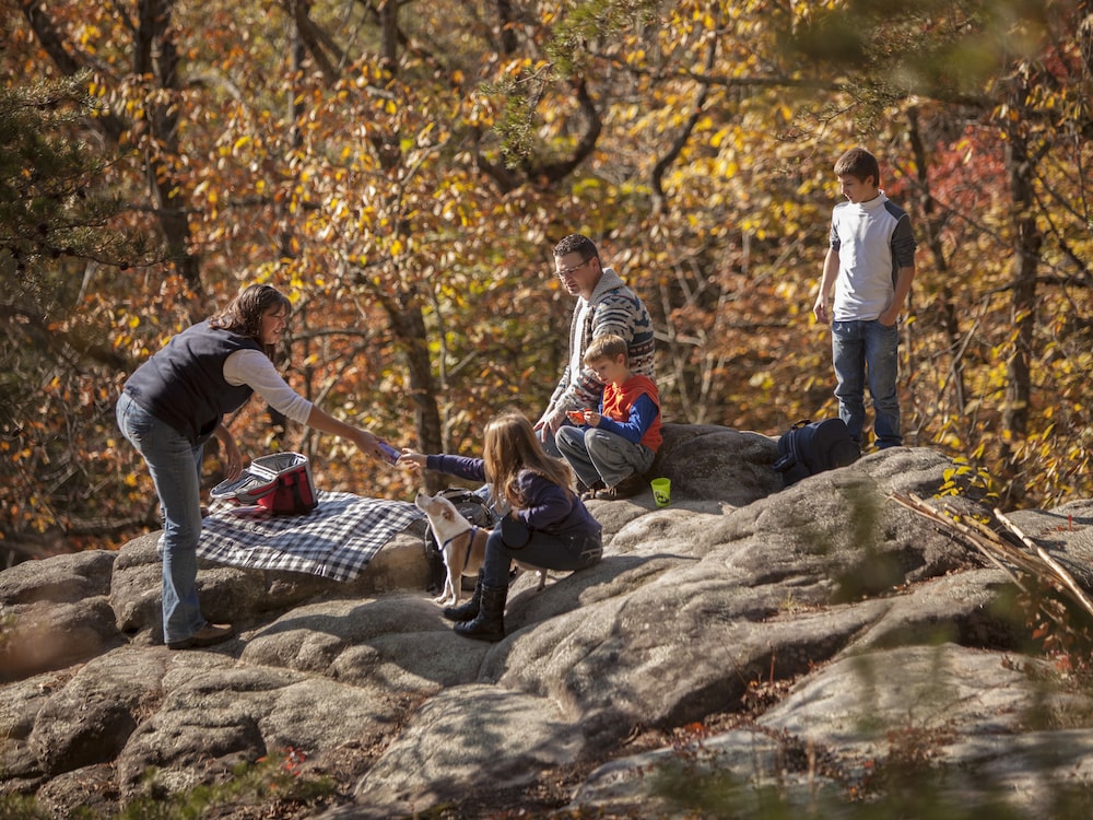 Pine Mountain State Resort Park