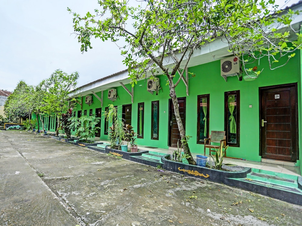 Photo 41