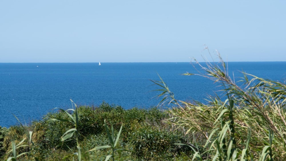 Welcomely - Casa Portopaglietto view 3