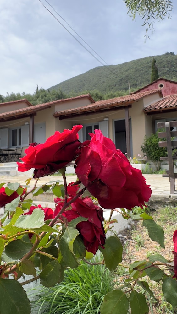 Olga's Sea View Studios -500m from Ipsos