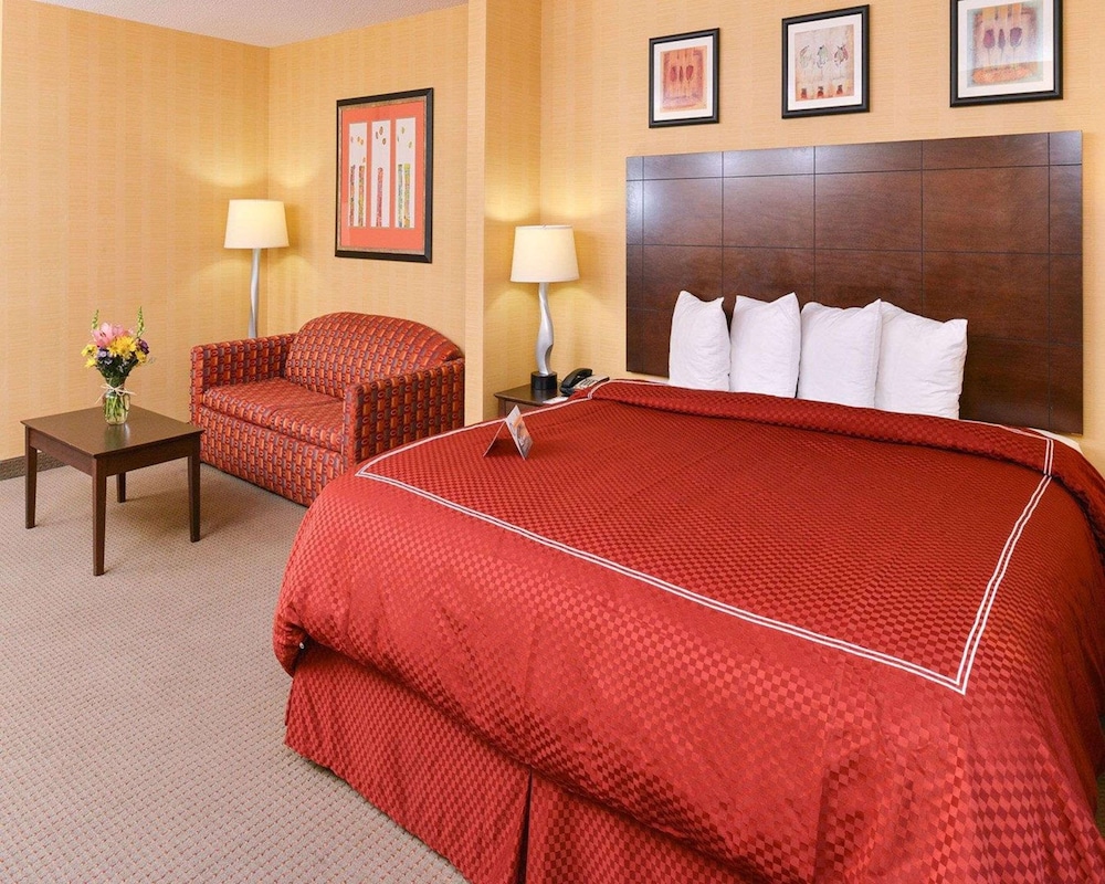 Quality Suites - Property Image 2