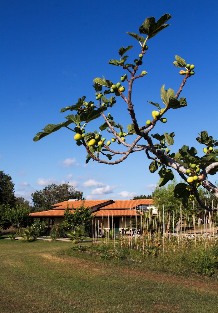 Agriturismo Ninea
