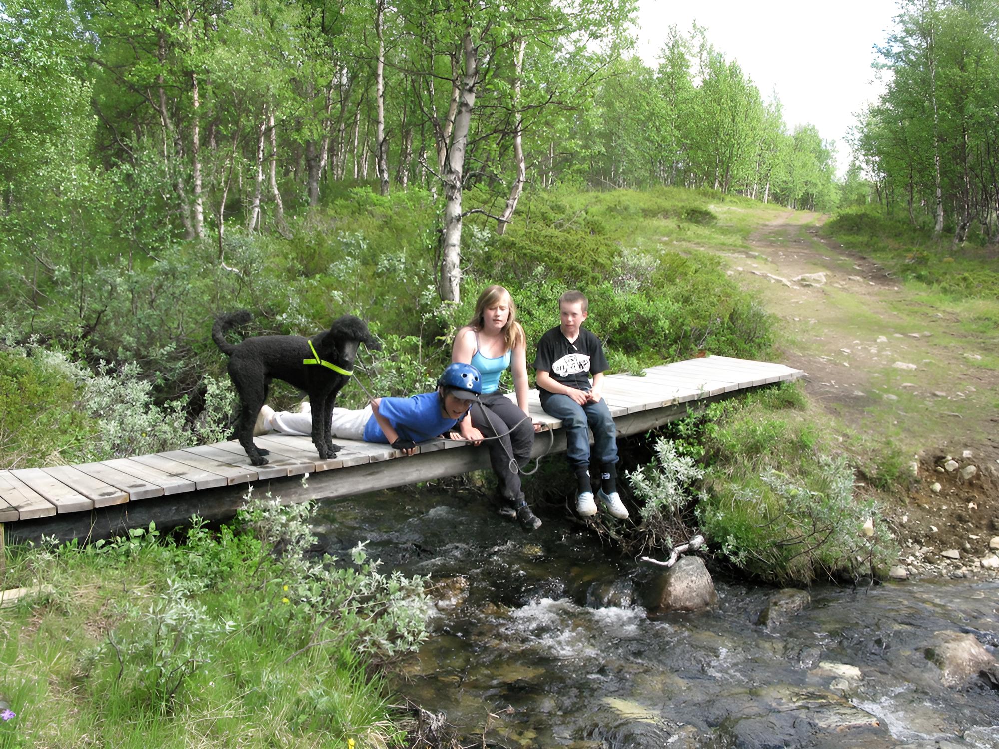 Photo 21