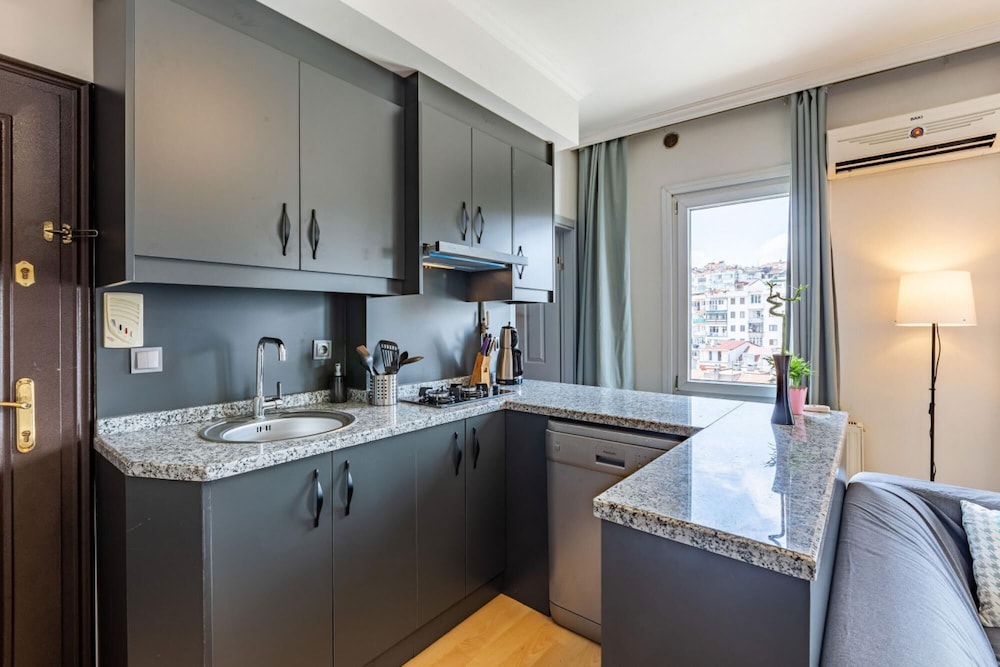 Central and Modern Flat With City View in Sisli