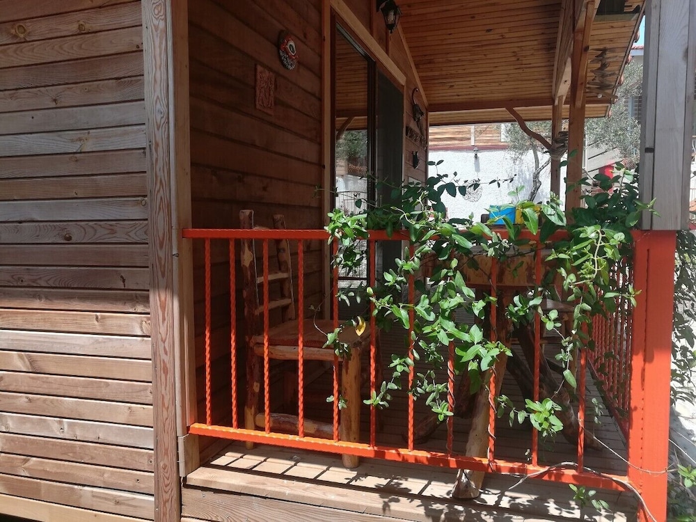 Photo 19