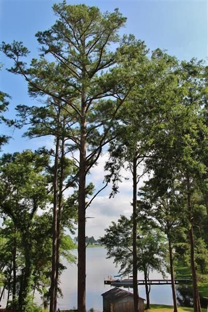 Frankston Home W/deck Fishing on Lake Palestine! - Property Image 23