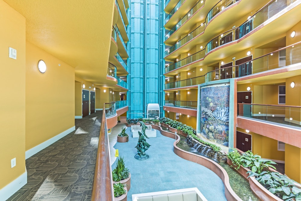 Caribe 409D
