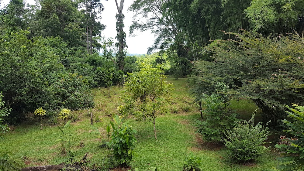 A Little Paradise