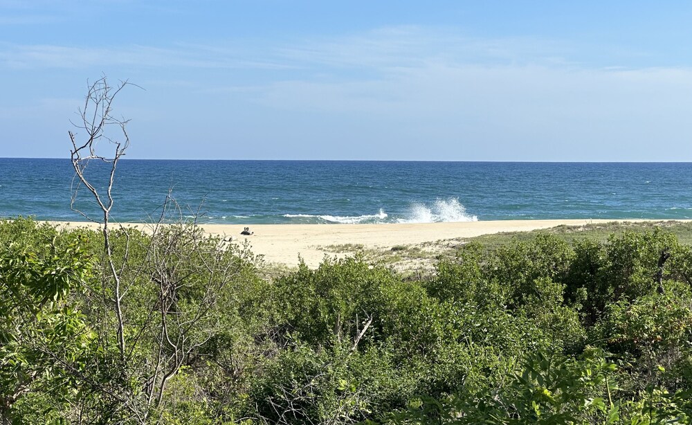 Photo 42