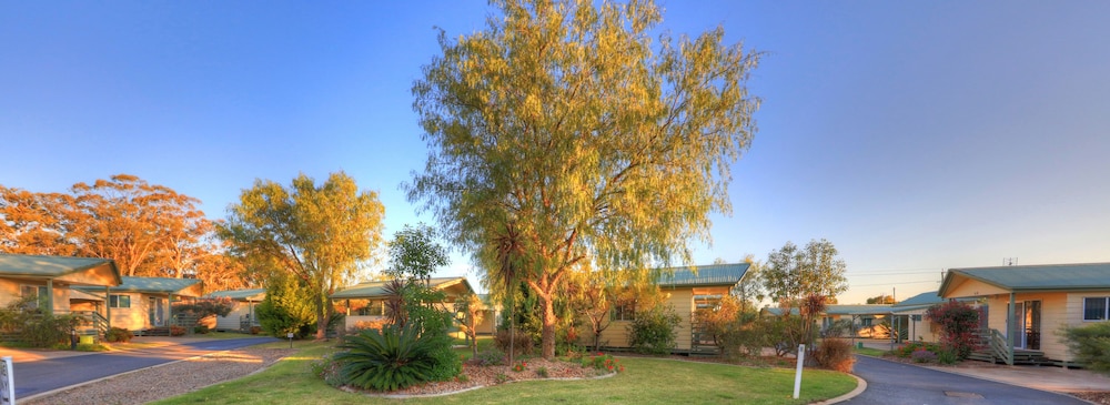 Pepper Tree Cabins