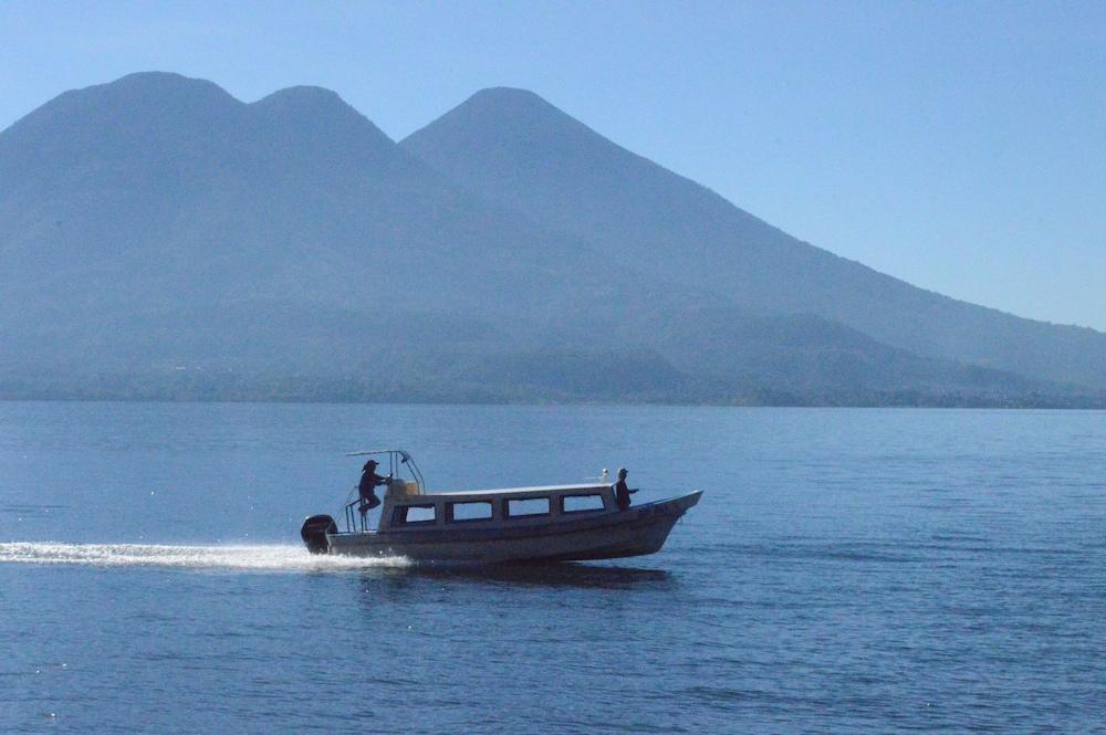 Photo 41