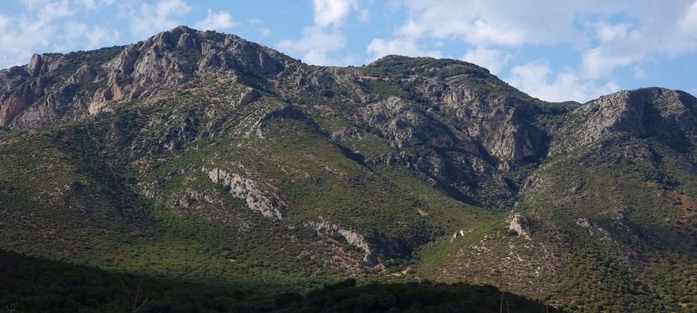 Photo 42