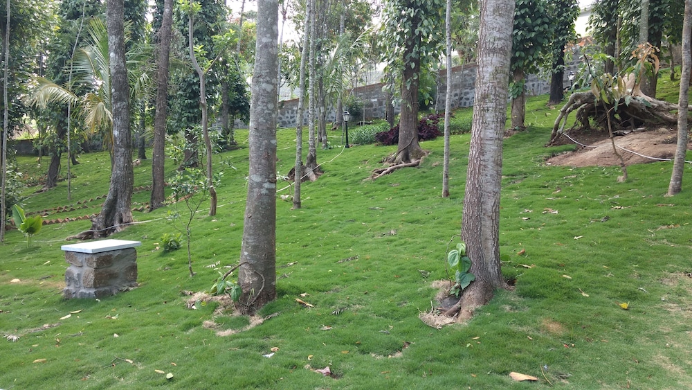 The Brook Resorts & Spa
