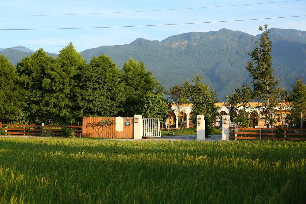 Focacia BNB