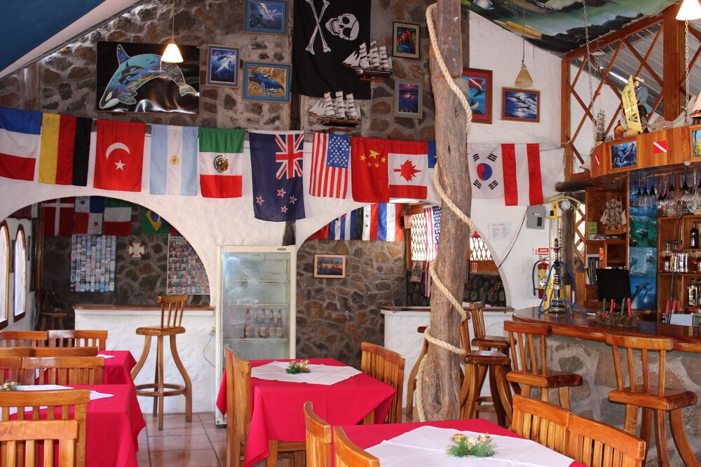 Galapagos Penguin Hostel